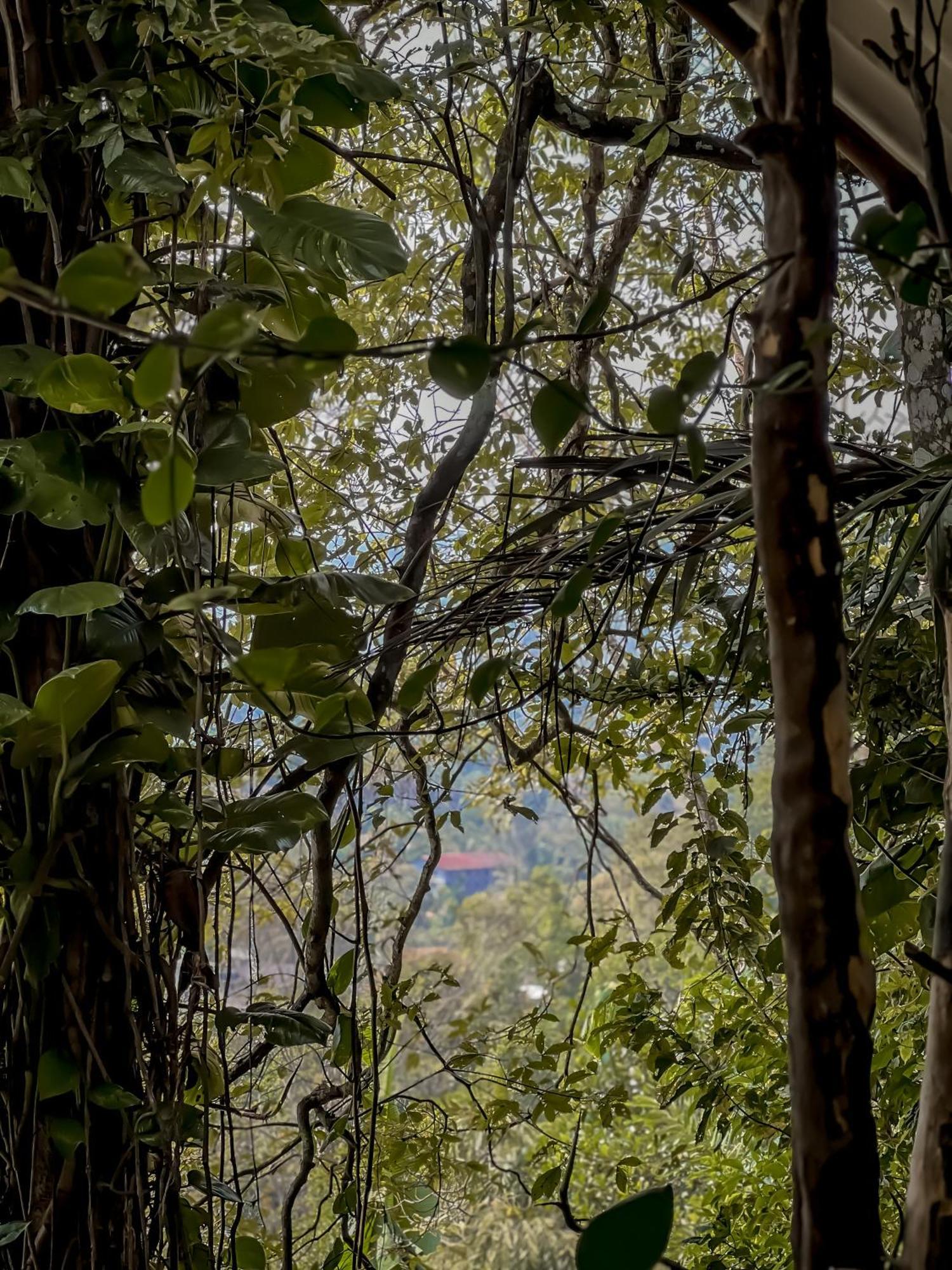 Secret Mountain Paradise Procida Dış mekan fotoğraf